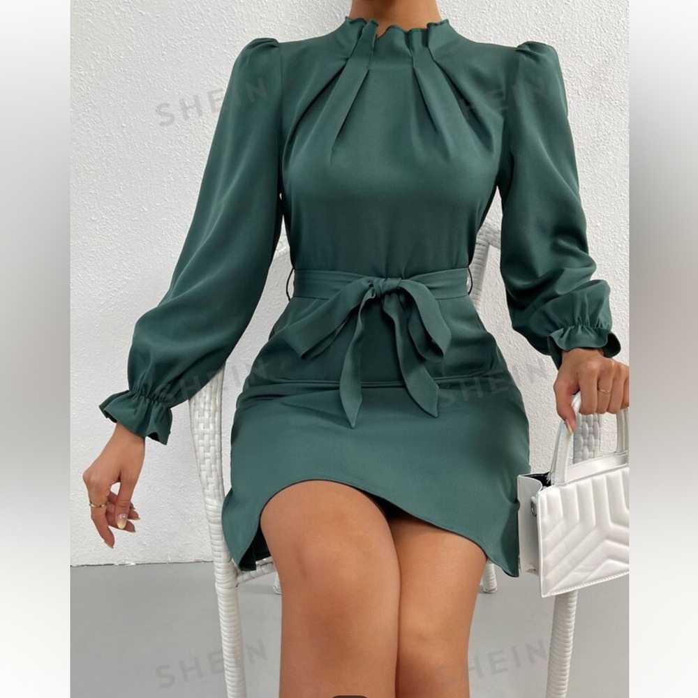 Flounce Sleeve Belted Dress